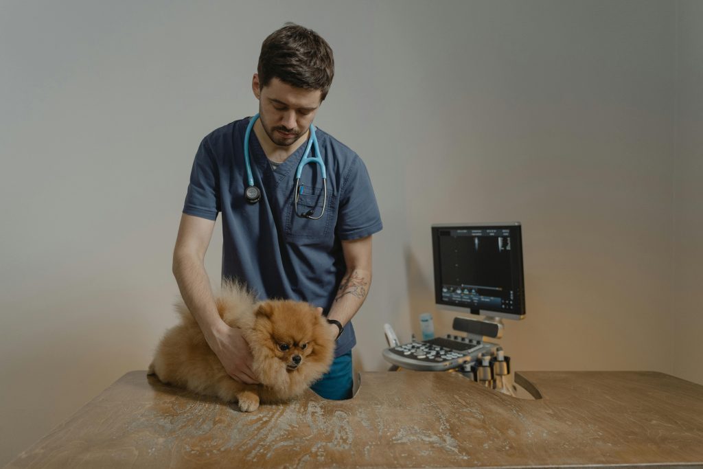 Why AAHA Approved Microchip Registries Are Essential For Pet Safety