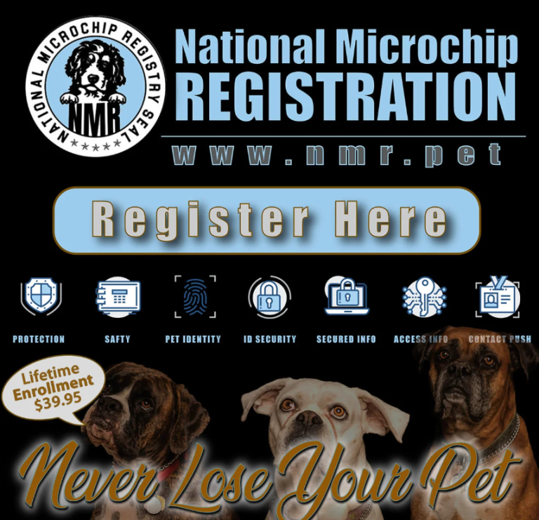 How Do I Get a Microchip Certificate for My Dog