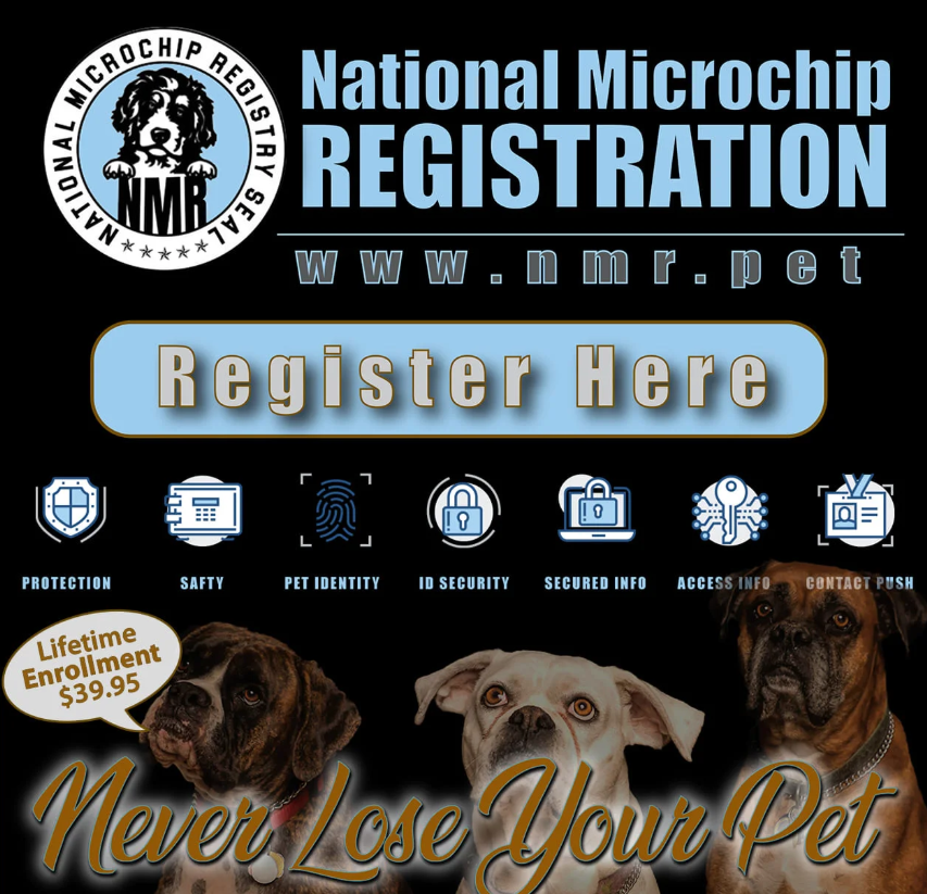 How Do I Get a Microchip Certificate for My Dog