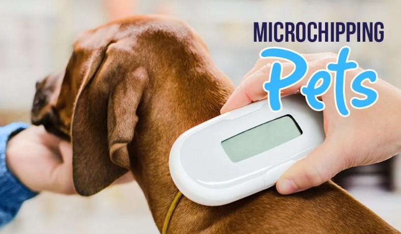 Microchip Registration for Puppies: National Microchip Registry