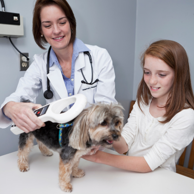 What Happens When Your Pet's Microchip Is Scanned?