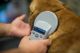 How to Transfer a Pet Microchip to a New Owner