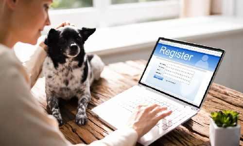 How to Check If Your Pet's Microchip Is Registered